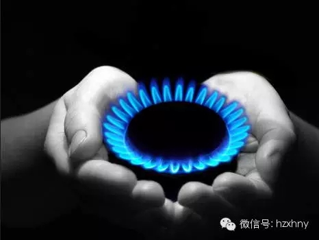 1490062618372236.jpg 640.webp.jpg